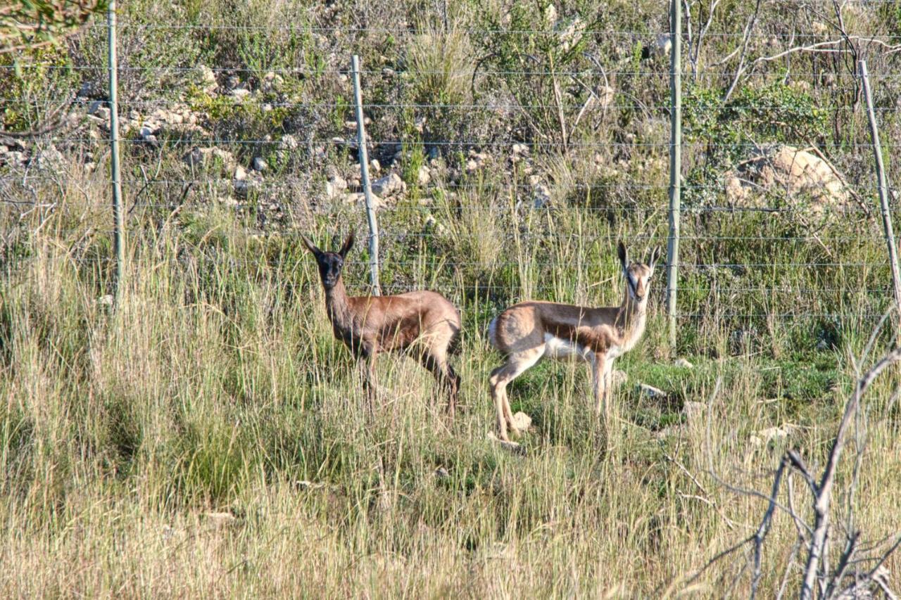 Jack'S Place Bredasdorp Luaran gambar