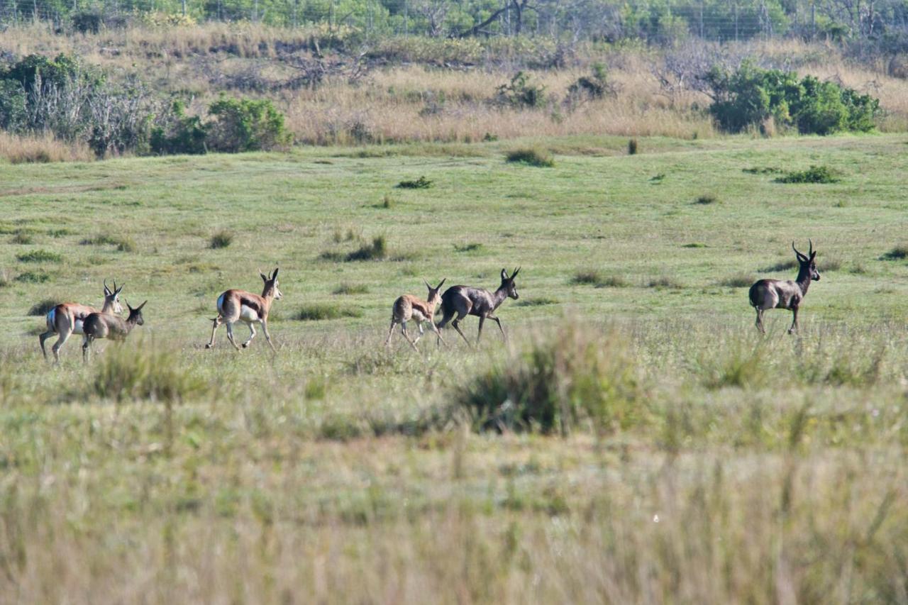 Jack'S Place Bredasdorp Luaran gambar