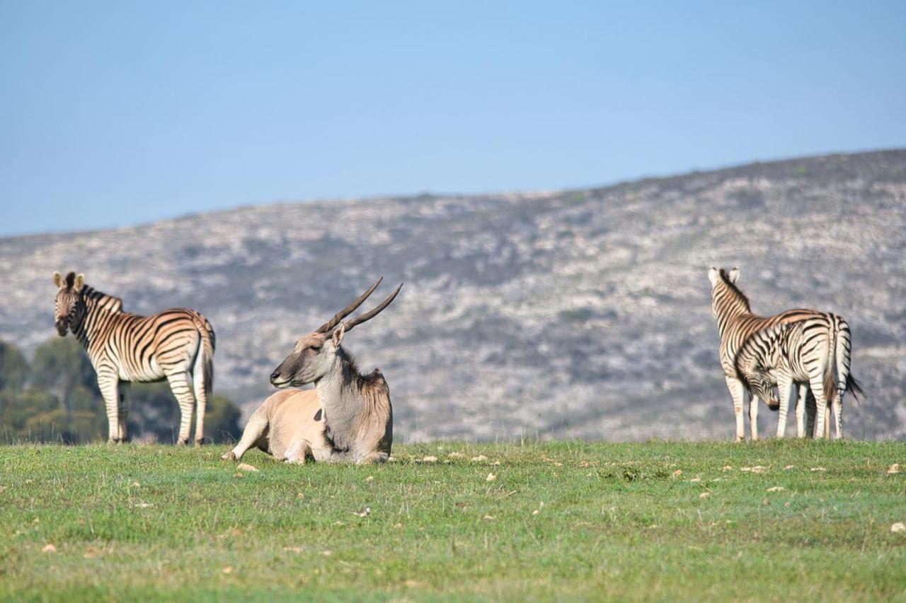 Jack'S Place Bredasdorp Luaran gambar
