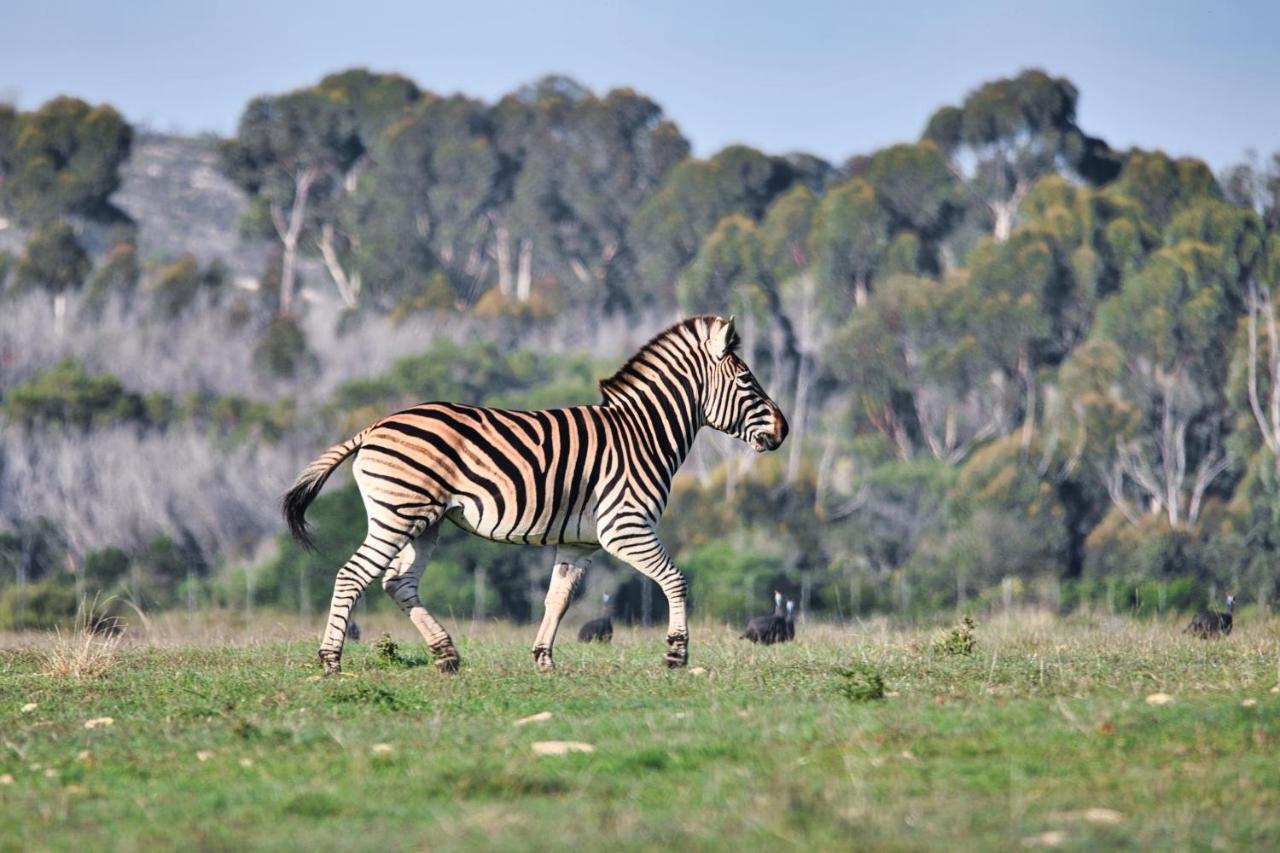 Jack'S Place Bredasdorp Luaran gambar